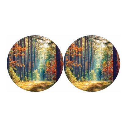 Autumn Forest Print Car Coasters