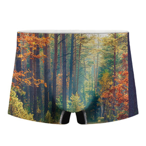 Autumn Forest Print Men's Boxer Briefs