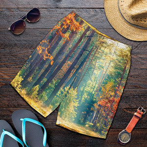 Autumn Forest Print Men's Shorts