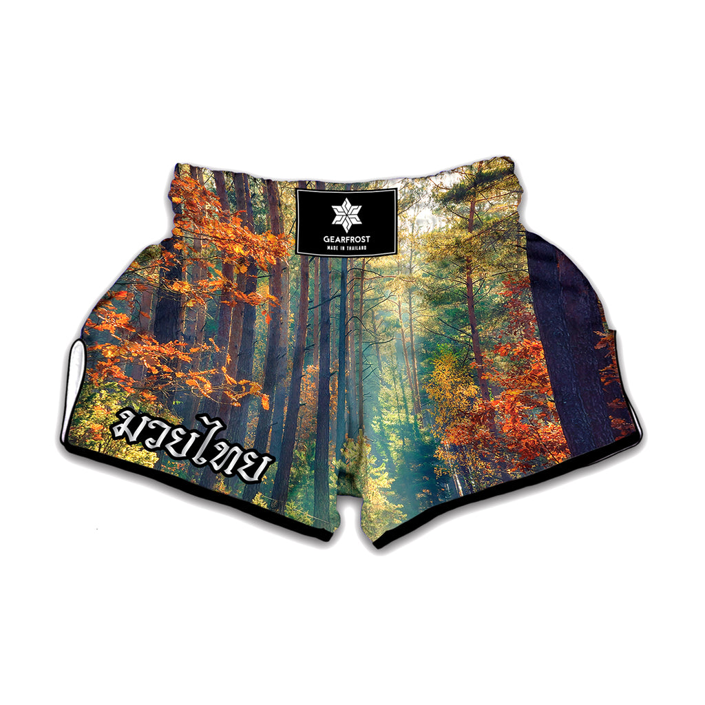 Autumn Forest Print Muay Thai Boxing Shorts