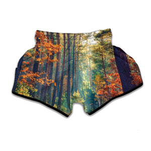 Autumn Forest Print Muay Thai Boxing Shorts