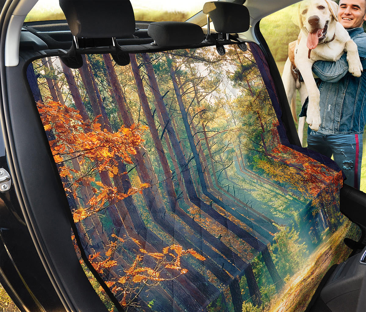 Autumn Forest Print Pet Car Back Seat Cover