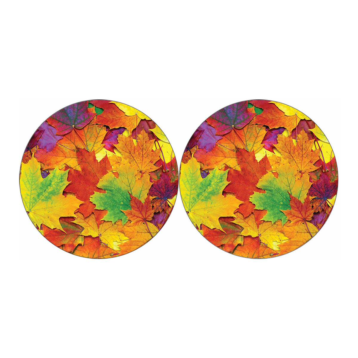 Autumn Maple Leaves Print Car Coasters