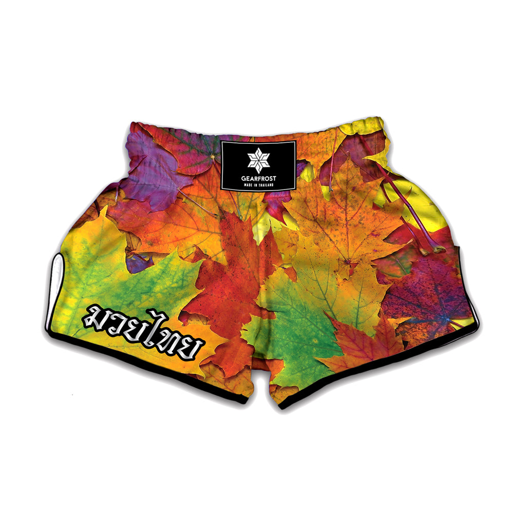 Autumn Maple Leaves Print Muay Thai Boxing Shorts