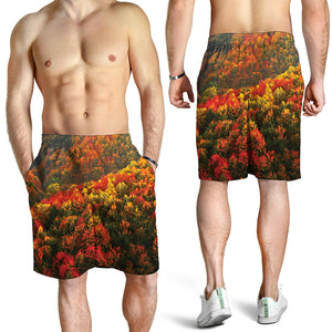 Autumn Mountain Print Men's Shorts