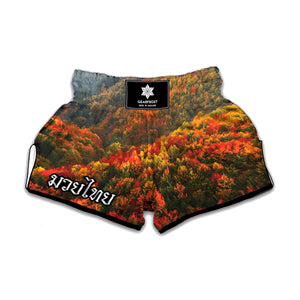 Autumn Mountain Print Muay Thai Boxing Shorts