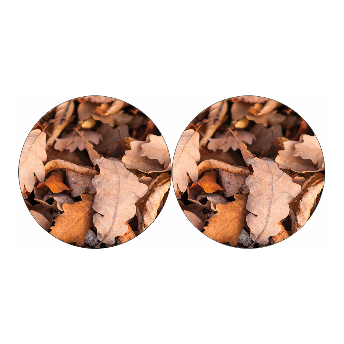 Autumn Oak leaf Print Car Coasters