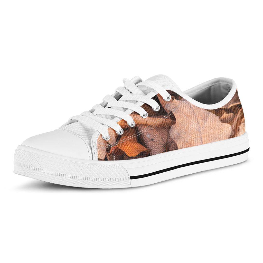 Autumn Oak leaf Print White Low Top Shoes