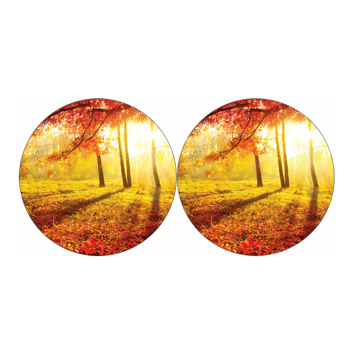 Autumn Trees Print Car Coasters