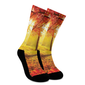 Autumn Trees Print Crew Socks