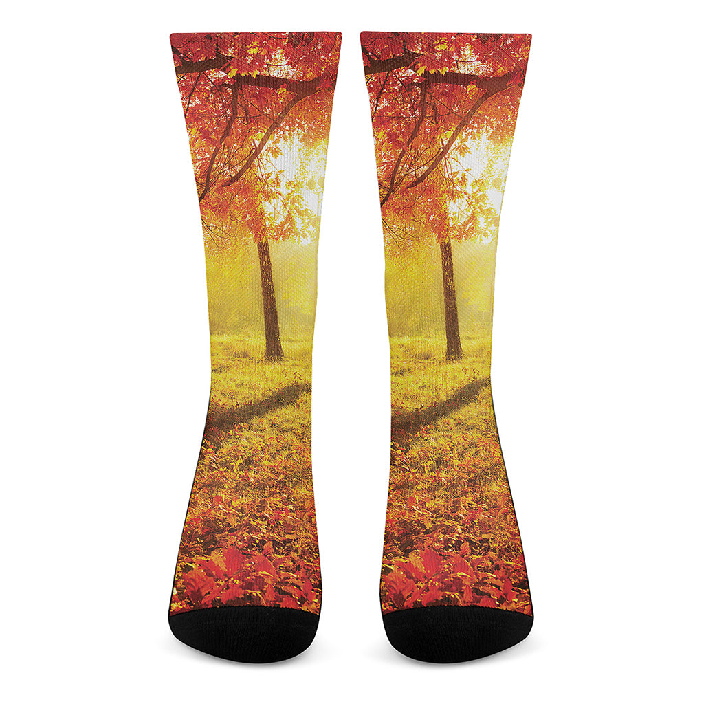 Autumn Trees Print Crew Socks