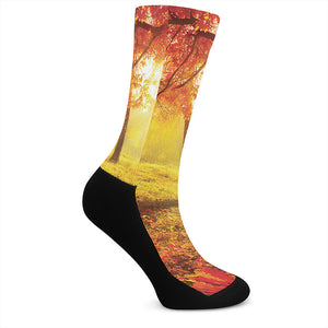 Autumn Trees Print Crew Socks