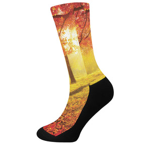 Autumn Trees Print Crew Socks