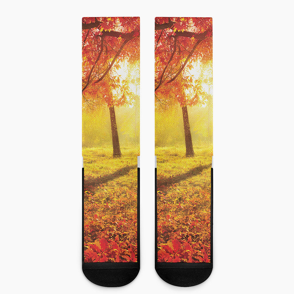 Autumn Trees Print Crew Socks