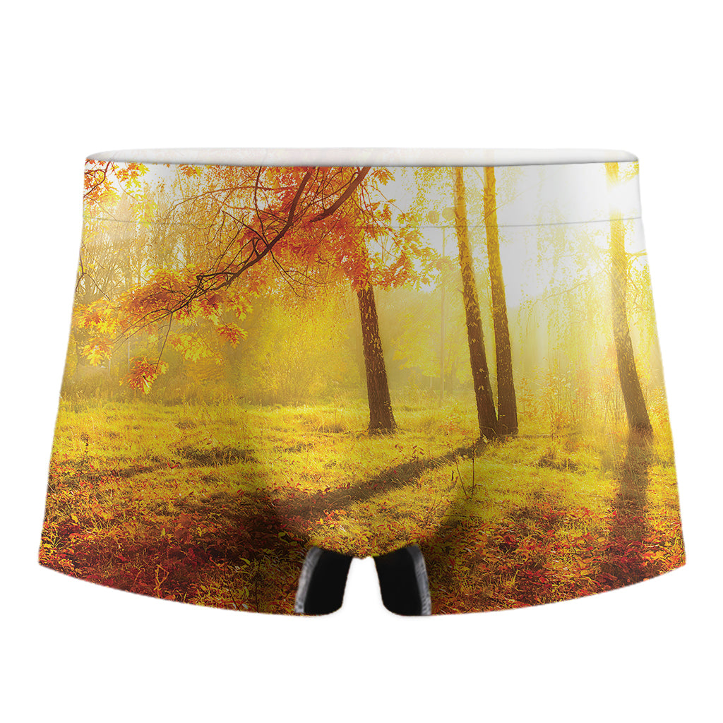 Autumn Trees Print Men's Boxer Briefs