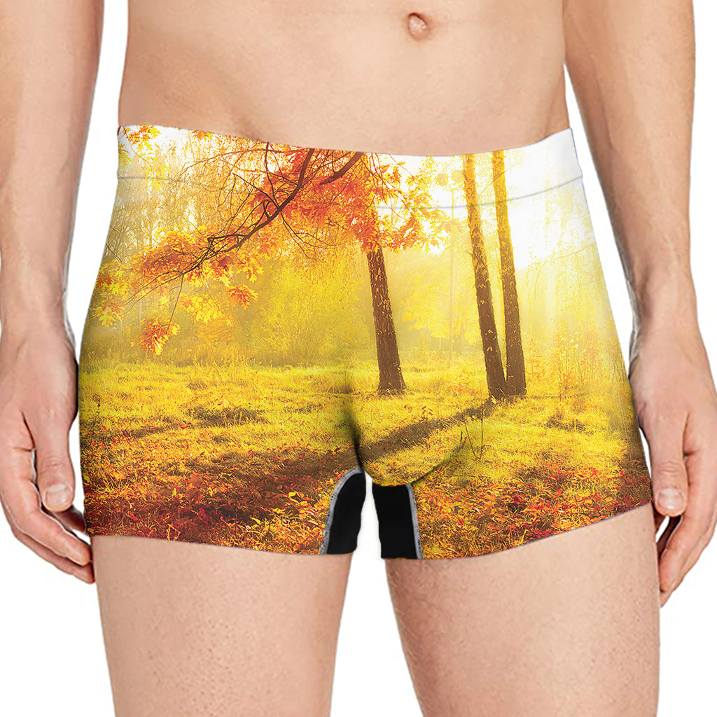 Autumn Trees Print Men's Boxer Briefs