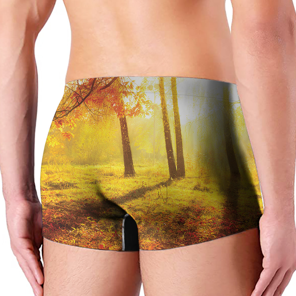 Autumn Trees Print Men's Boxer Briefs