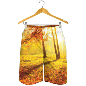 Autumn Trees Print Men's Shorts