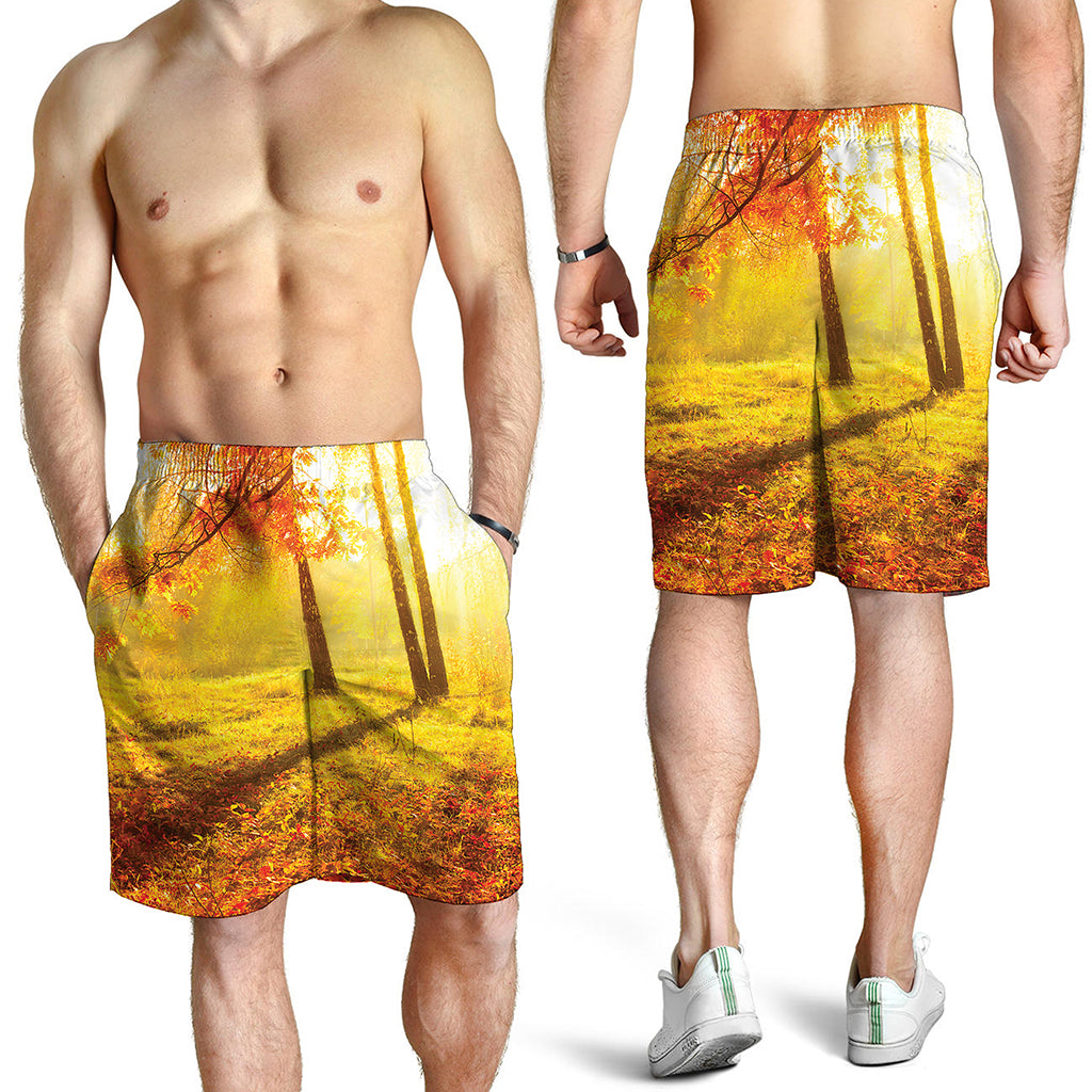 Autumn Trees Print Men's Shorts