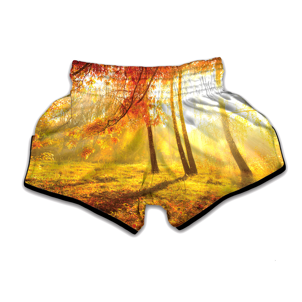 Autumn Trees Print Muay Thai Boxing Shorts