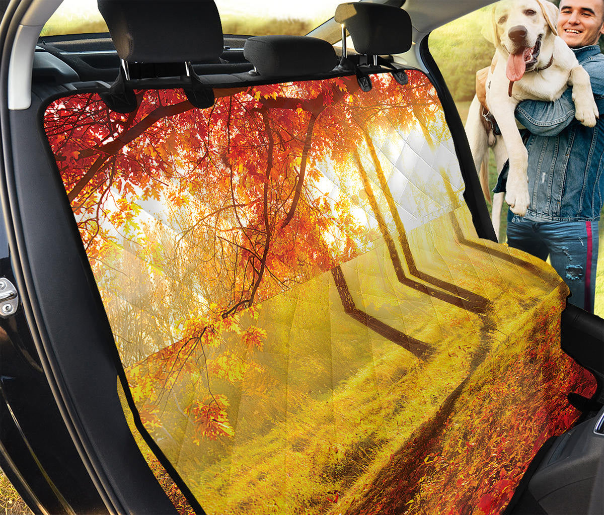 Autumn Trees Print Pet Car Back Seat Cover