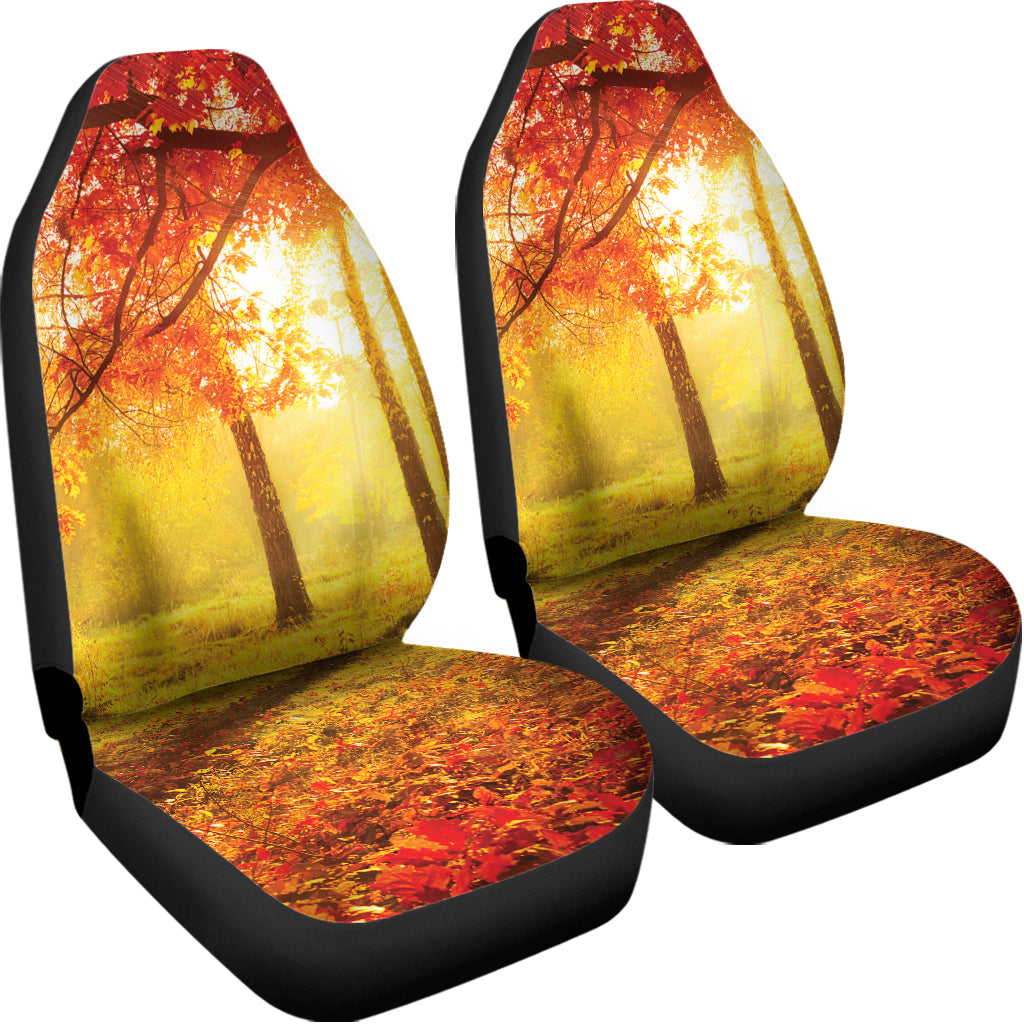 Autumn Trees Print Universal Fit Car Seat Covers