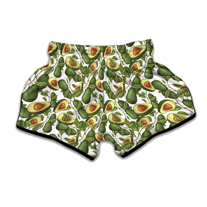 Avocado Cut In Half Drawing Print Muay Thai Boxing Shorts