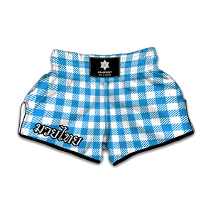 Azure Blue And White Gingham Print Muay Thai Boxing Shorts