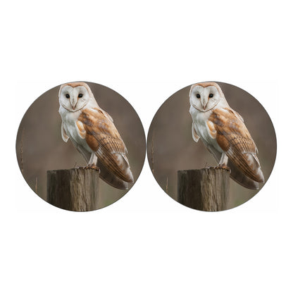 Barn Owl Print Car Coasters