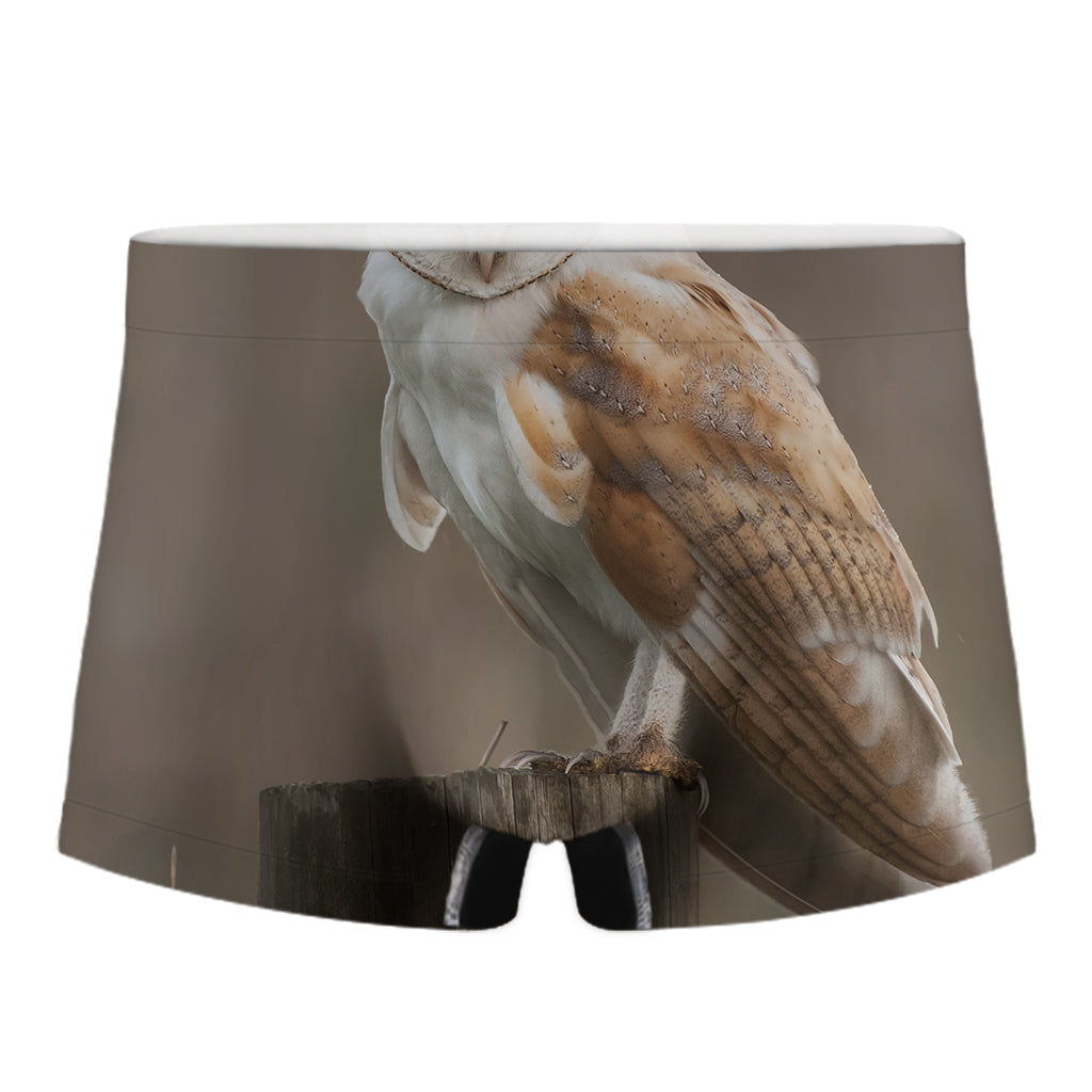 Barn Owl Print Men's Boxer Briefs