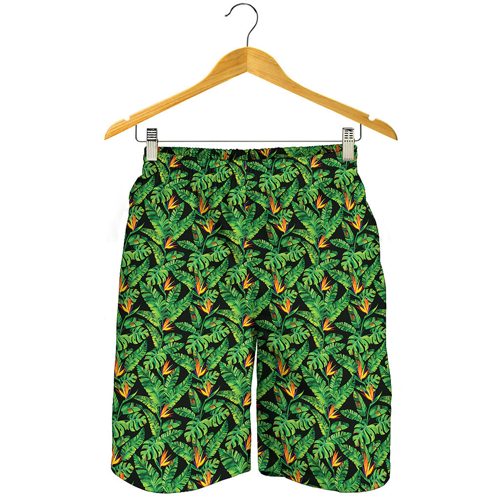 Bird Of Paradise And Palm Leaves Print Men's Shorts