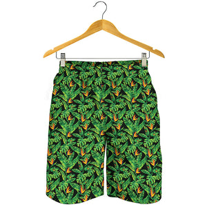 Bird Of Paradise And Palm Leaves Print Men's Shorts