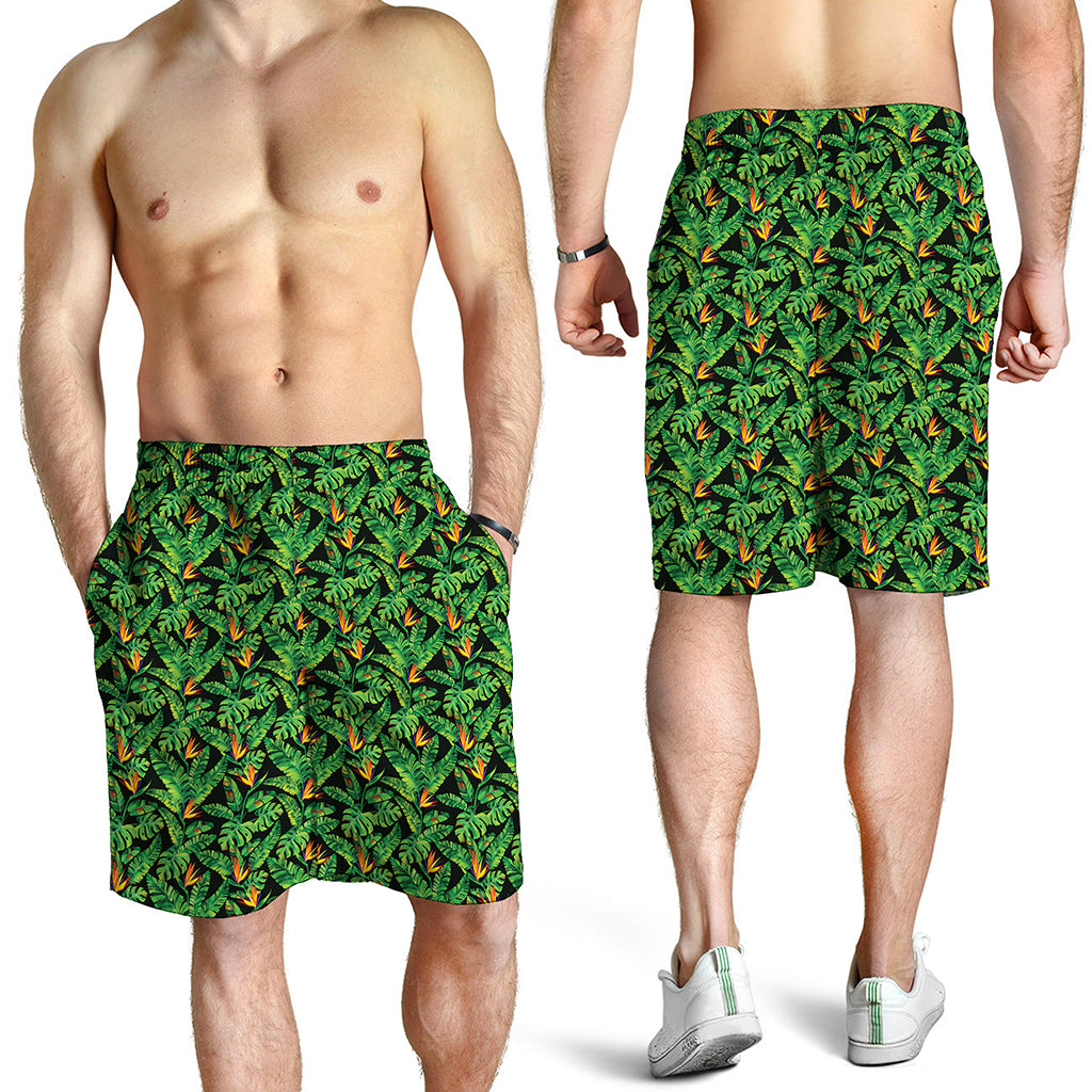 Bird Of Paradise And Palm Leaves Print Men's Shorts