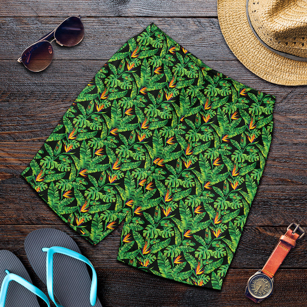 Bird Of Paradise And Palm Leaves Print Men's Shorts