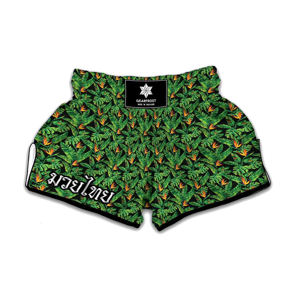 Bird Of Paradise And Palm Leaves Print Muay Thai Boxing Shorts