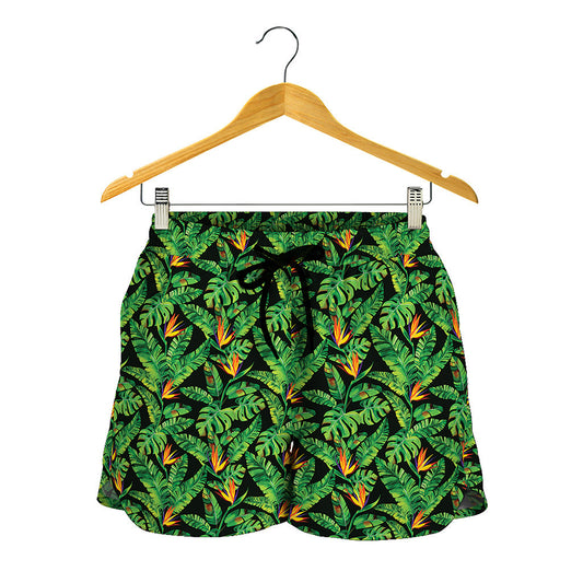 Bird Of Paradise And Palm Leaves Print Women's Shorts