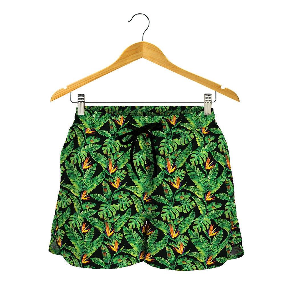 Bird Of Paradise And Palm Leaves Print Women's Shorts