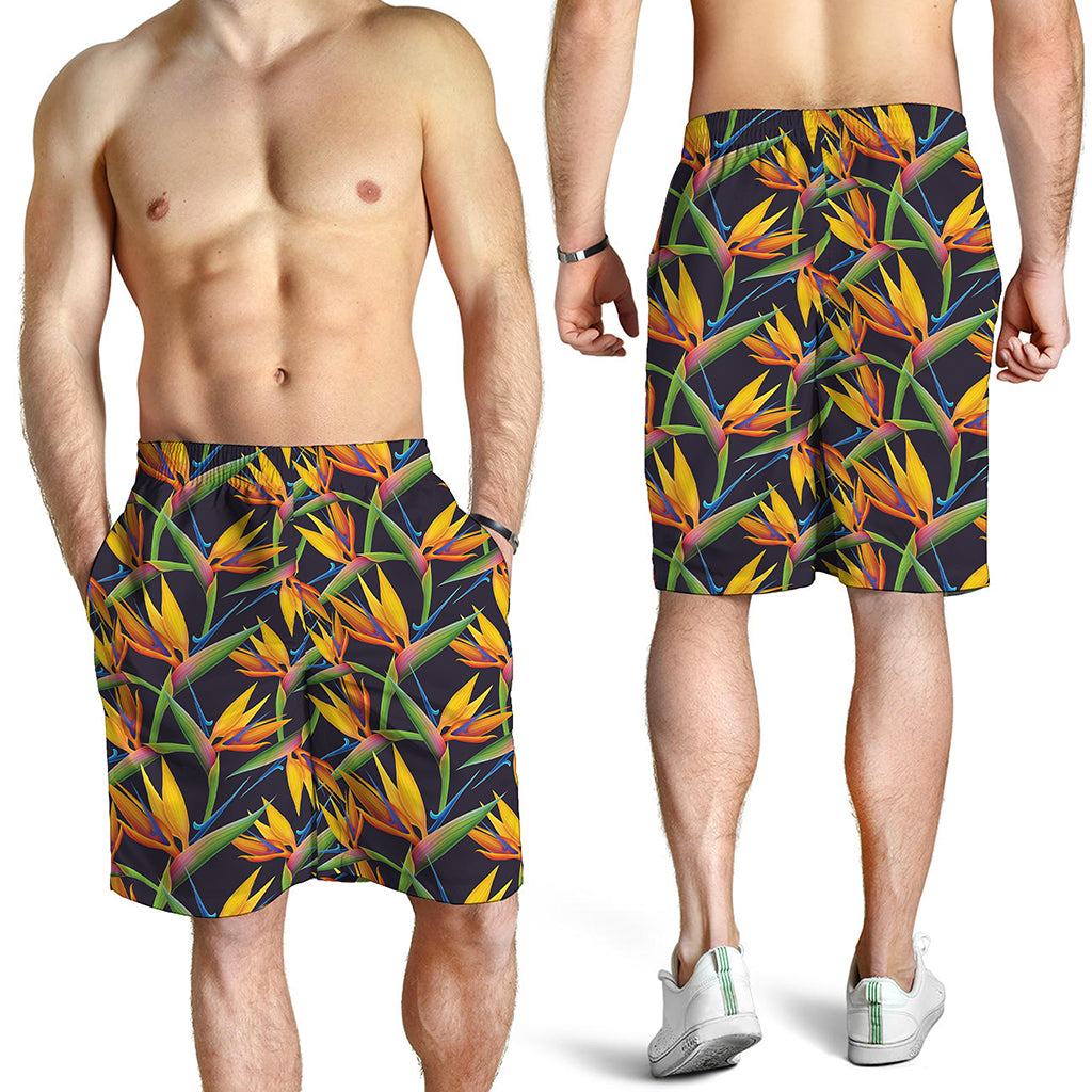 Bird Of Paradise Flower Pattern Print Men's Shorts