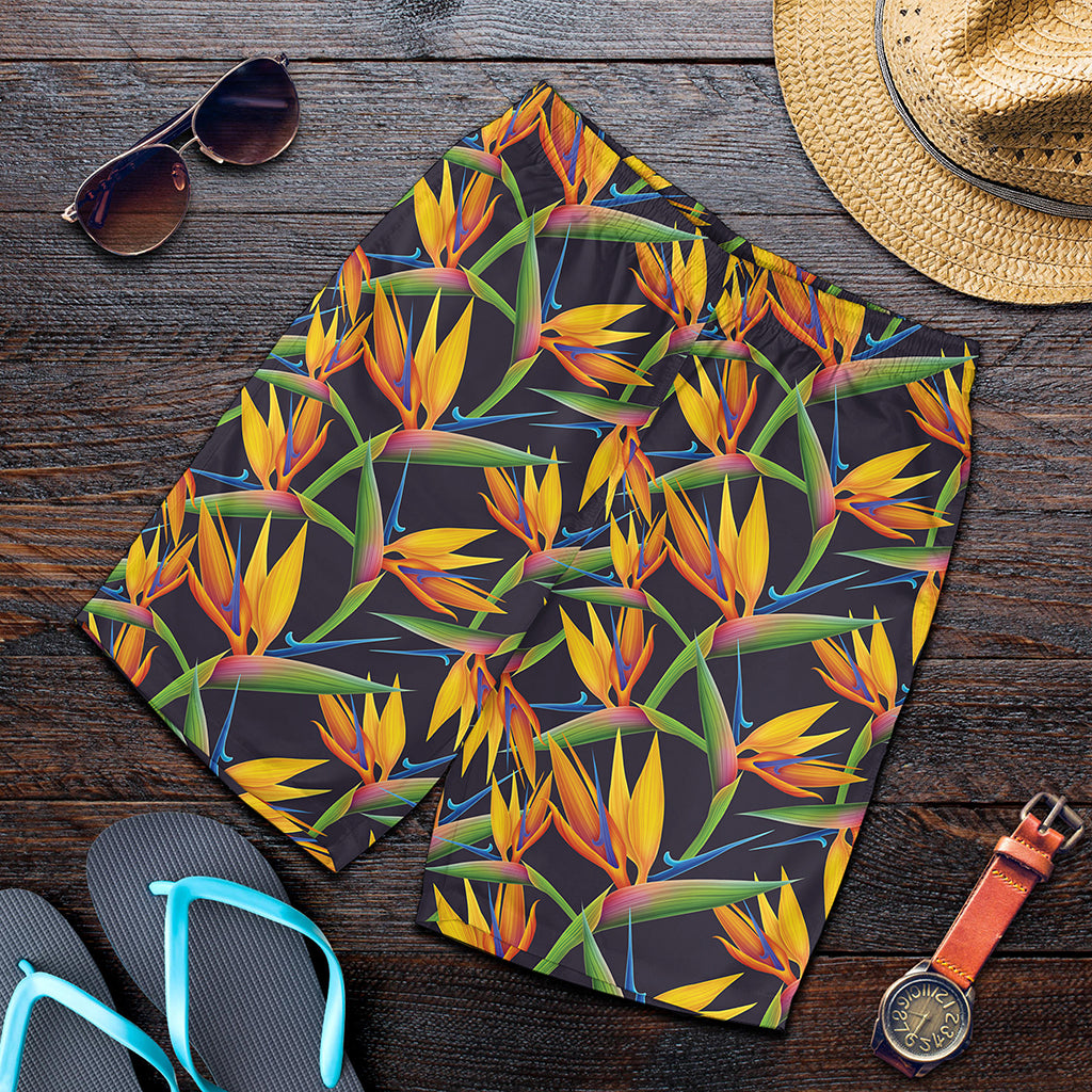 Bird Of Paradise Flower Pattern Print Men's Shorts
