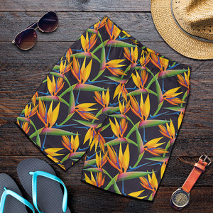 Bird Of Paradise Flower Pattern Print Men's Shorts