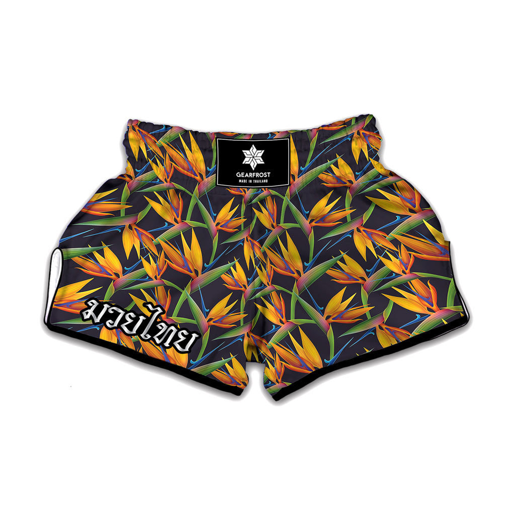 Bird Of Paradise Flower Pattern Print Muay Thai Boxing Shorts