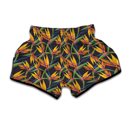 Bird Of Paradise Flower Pattern Print Muay Thai Boxing Shorts