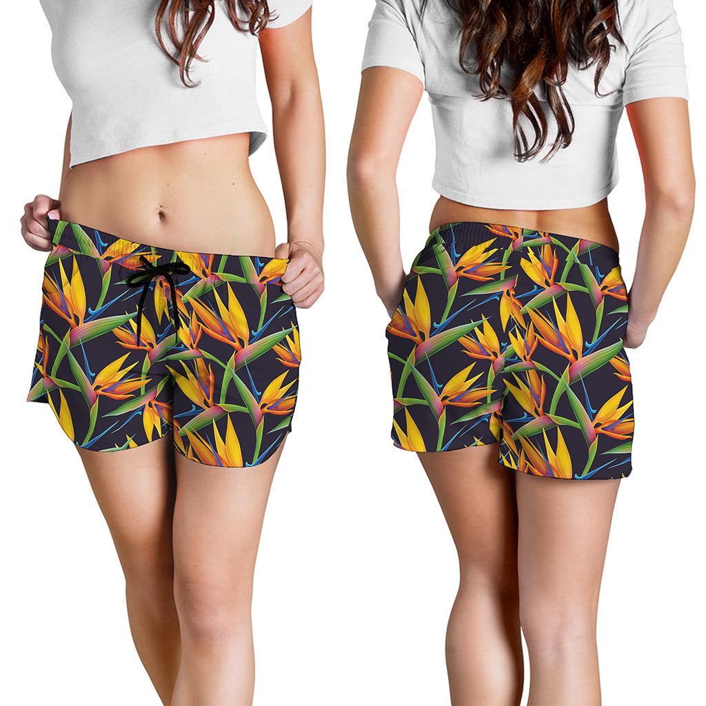 Bird Of Paradise Flower Pattern Print Women's Shorts