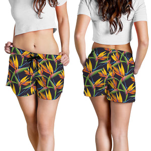 Bird Of Paradise Flower Pattern Print Women's Shorts