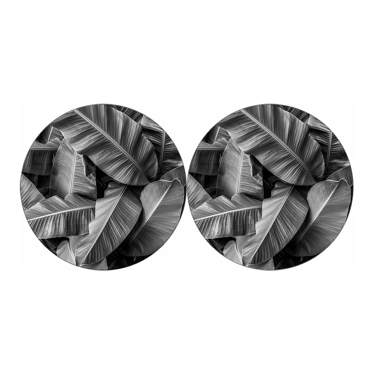 Black And White Banana Leaf Print Car Coasters