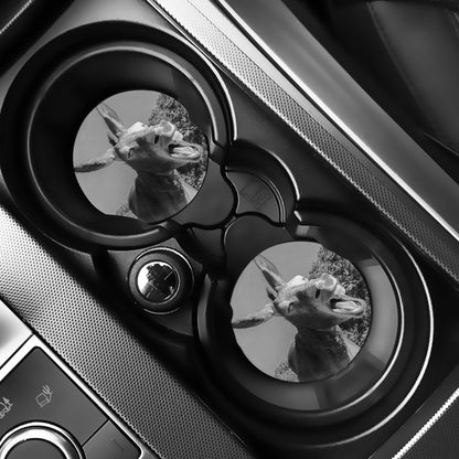 Black And White Funny Donkey Print Car Coasters