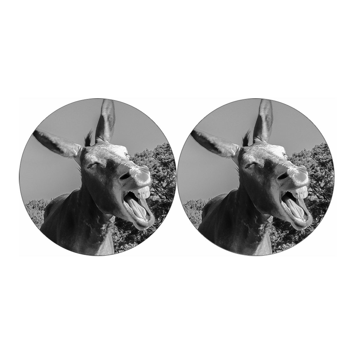 Black And White Funny Donkey Print Car Coasters