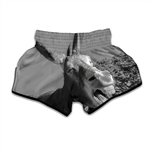 Black And White Funny Donkey Print Muay Thai Boxing Shorts