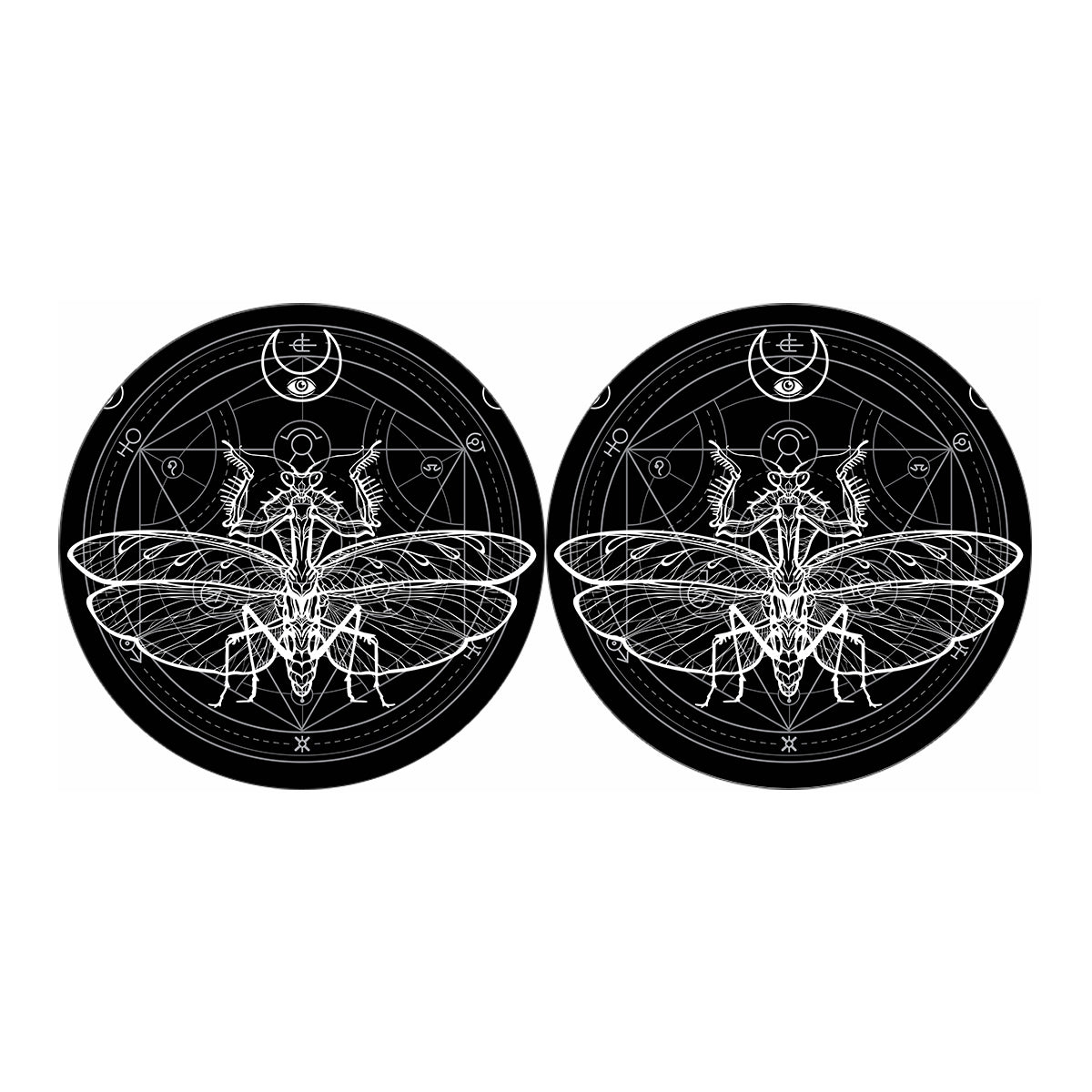 Black And White Mantis Spirit Print Car Coasters