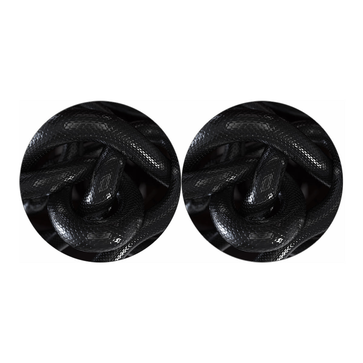 Black Snake Print Car Coasters